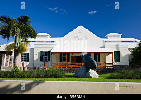 Bermuda Aquarium, Museum und Zoo, Flatts Dorf, Bermuda Stockfoto