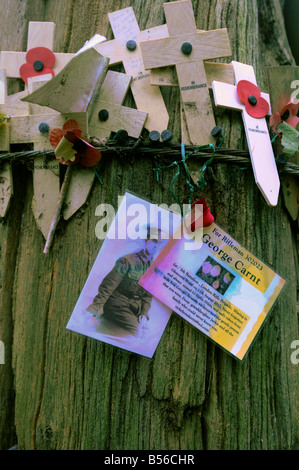 Erinnerung-Kreuze, eine Hommage und ein Foto eines ersten Wolrd Krieg Soldaten befestigt an einem Baum am Hügel 62, in der Nähe von Ypern, Belgien Stockfoto