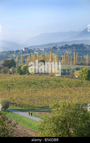 Das Panorama der grünen Hügel mit der Stadt San Daniele del Friuli im Hintergrund Stockfoto