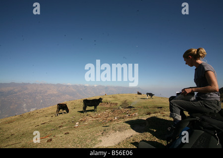 Frau, Kühe und einen Blick auf die Cordillera Negra von der Cordillera Blanca, Parque Nacional Huascaran, Peru Stockfoto