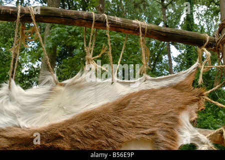 Jamestown Regelung Virginia Tierhaut aufgereiht aus Holz rack va Powhatan-Indianer-Dorf Stockfoto