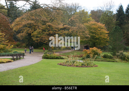 RHS Harlow Carr Gärten in Harrogate, Großbritannien Stockfoto