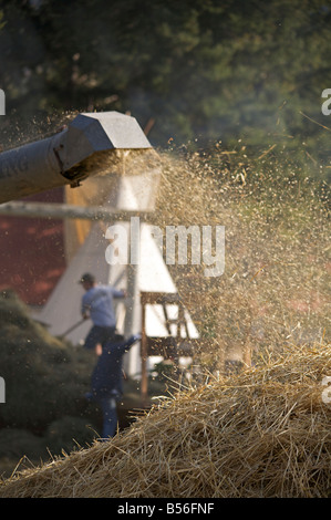Weizen Dreschen Demonstration während der Dampfmaschine zeigen bei Westwold, "British Columbia", Canada Stockfoto