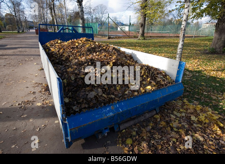 Herbstlaub auf LKW-Fahrgestell Stockfoto