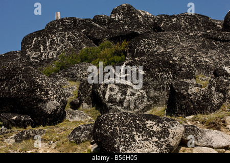 Verunstaltung der reichen Flechtenflora auf Felsen an der Spitze der Mt Ashland 7000 ft Oregon USA Stockfoto