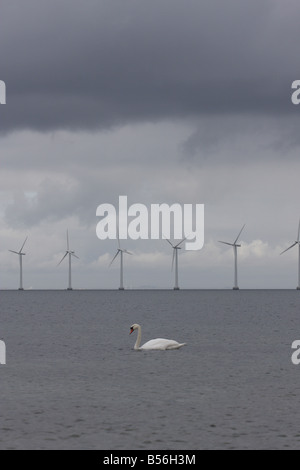 Middelgrunden Windenergieanlage off Shore Wind Farm Dänemark in der Nähe von Copenhagen. Blick von Amager Stockfoto