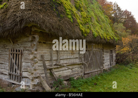 Traditionelle alte hölzerne reetgedeckte Scheune im Galda Tal Apuseni Gebirge Herbst Rumänien Stockfoto