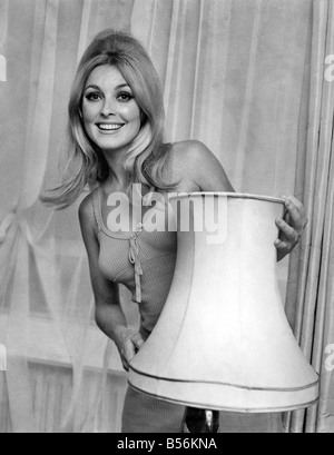 13 ist nicht die Unglückszahl für 22 Jahre alte Schauspielerin Sharon Tate, die einen Teil in das neue MGM-Bild gelandet ist "13" genannt. Sharon ist Co-star mit David Niven und Kim Novak. ; August 1969; P009700 Stockfoto