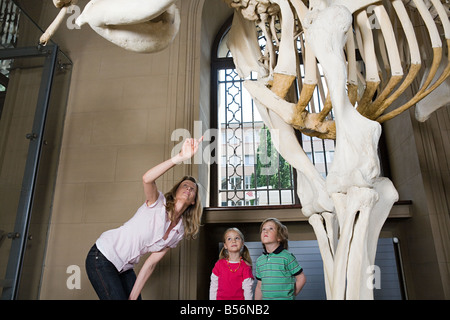 Mutter und Kinder betrachten ein Elefant-Skelett Stockfoto
