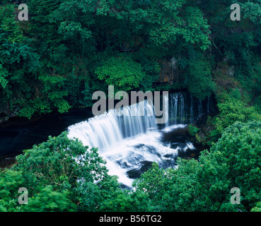 Wasserfall ISAF Clun-gwyn am Fluss Mellte bei Pontneddfechan im Bannau Brycheiniog (Brecon Beacons) National Park, Südwales. Stockfoto