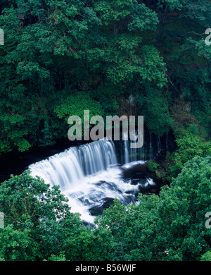 Wasserfall ISAF Clun-gwyn am Fluss Mellte bei Pontneddfechan im Bannau Brycheiniog (Brecon Beacons) National Park, Südwales. Stockfoto