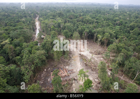 Bereich bekannt als 16km in den Regenwäldern der Turama Erweiterung Protokollierung Konzession, Gulf Provinz, Papua Neu-Guinea. Mittwoch 3. Stockfoto