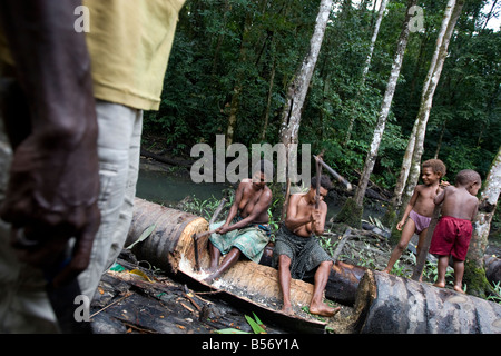 Frauen schneiden Sagopalme in Regenwäldern in der Nähe von Omati Dorf, Gulf Provinz, Papua Neu-Guinea. Stockfoto