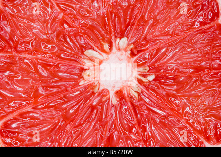 Ruby red Grapefruit hautnah Stockfoto