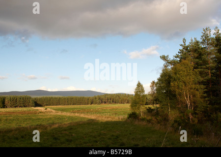 Logie Coldstone auf Groddie Straße Schottland, Vereinigtes Königreich Stockfoto