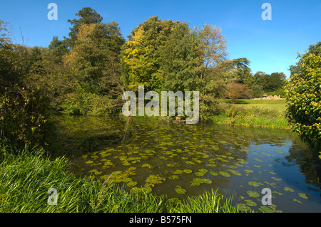 Waverley Abtei Park Surrey UK Stockfoto