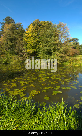 Waverley Abtei Surrey UK Stockfoto