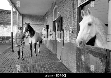 Dennis ist das erste Armee Pferd unter die jüngste Vereinbarung zwischen der RSPCA und des Verteidigungsministeriums in den Ruhestand gehen. Heute wurde bei Beaumont Barracks, Aldershot, Dennis die RSPCA übergeben. Dezember 1969 Z12359-001 Stockfoto