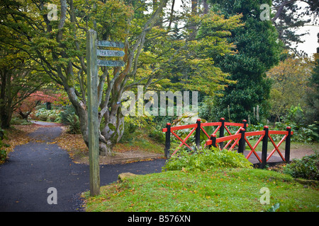 Zündeten Arboretum Herbst Stockfoto