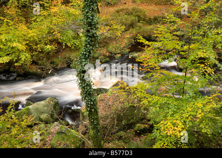 Hebden Wasser läuft durch Hebden Dale in der Nähe von Hebden Bridge Stockfoto