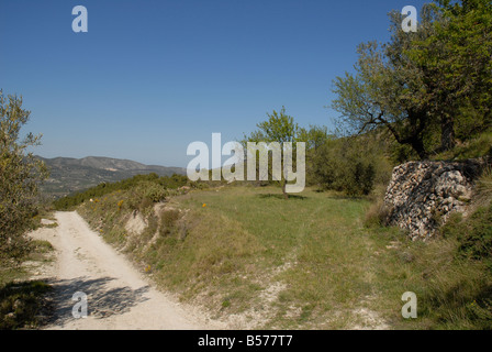 Pfad zum Els Frares rock Zinnen, Comtat, Provinz Alicante, Comunidad Valenciana, Sierra de Serrella, Spanien Stockfoto