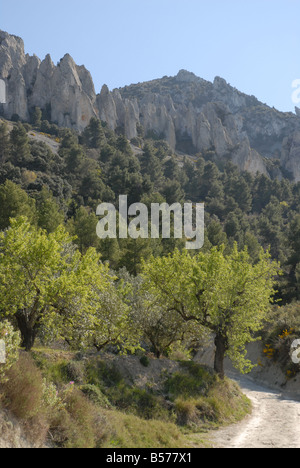 Pfad zum Els Frares rock Zinnen, Comtat, Provinz Alicante, Comunidad Valenciana, Sierra de Serrella, Spanien Stockfoto