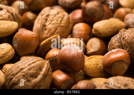 Hintergrund der Nussmischung - Mandeln, Walnüsse, Haselnüsse Stockfoto