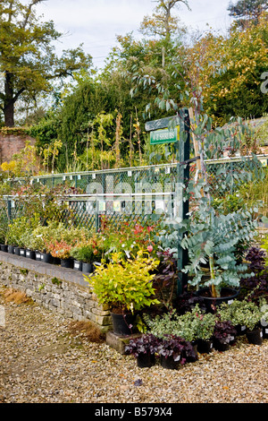 Zündeten Arboretum Gartencenter Stockfoto