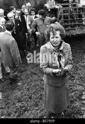 Premierministerin Frau Margaret Thatcher im allgemeinen Wahlen Wahlkampf Cornish Bauernhof zu besuchen. Man sieht sie hier posiert mit einer Handvoll Silage, der Geruch ist nicht nach ihrem Geschmack... Mai 1983 P005268 Stockfoto