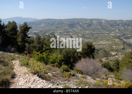 Pfad zum Els Frares rock Zinnen, Comtat, Provinz Alicante, Comunidad Valenciana, Sierra de Serrella, Spanien Stockfoto