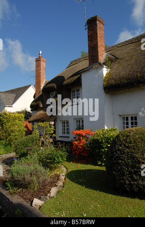 Ein Reetdach-Ferienhaus in Devon England UK an einem sonnigen Tag Stockfoto