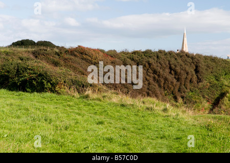 Die Geoneedle in Ferne Orcombe Punkt, Exmouth, Devon UK Stockfoto