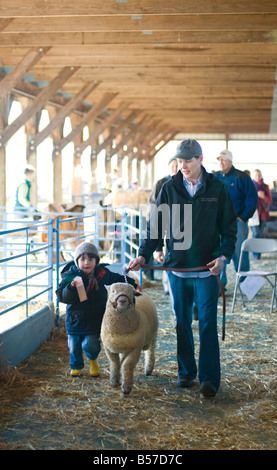 Vater und Sohn zu Fuß ihre Schafe, die nur ein Band an der jährlichen Schafe und Wolle Festival in Rhinebeck, New York gewonnen Stockfoto