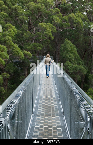 Eine Frau geht entlang dem Tal der Riesen Tree Top Walk Gehweg durch die Red Tingle Wald, Walpole Nornalup Nationalpark, Western Australia Stockfoto