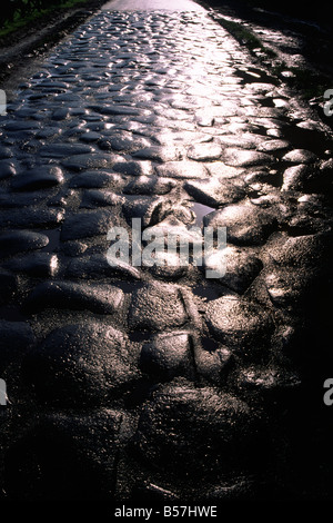 Italien, Rom, Via Appia Antica, Old Appian Way Stockfoto