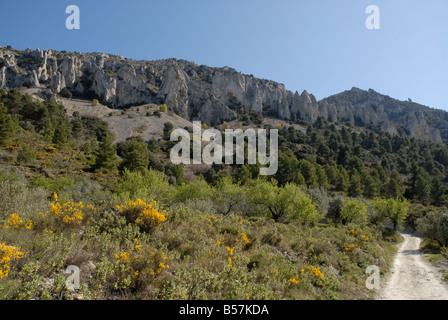 Pfad zum Els Frares rock Zinnen, Comtat, Provinz Alicante, Comunidad Valenciana, Sierra de Serrella, Spanien Stockfoto