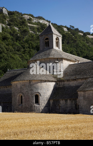 Senanque Abbey, Vaucluse, Provence, Frankreich, Europa Stockfoto