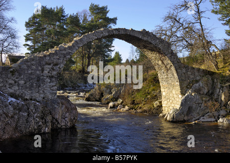 Alte Brücke Lastesel, Carrbridge, Highlands, Schottland, Vereinigtes Königreich, Europa Stockfoto