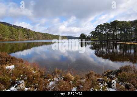Loch ein Eilein, in der Nähe von Aviemore, Cairngorms National Park, Highlands, Schottland, Vereinigtes Königreich, Europa