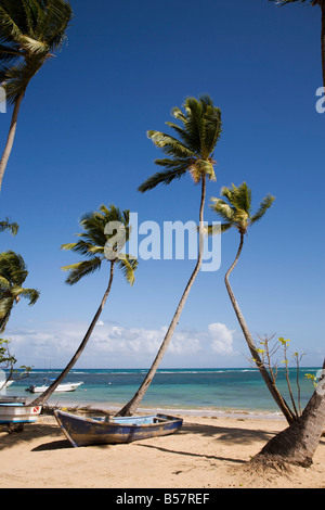 Las Terrenas, Halbinsel Samaná, Dominikanische Republik, Karibik, Karibik, Mittelamerika Stockfoto