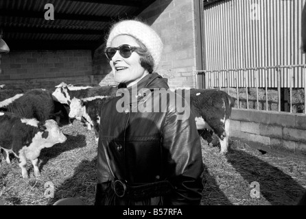 Herrn Avon, ehemalige britische Premierminister Anthony Eden, auf den Verkauf von Vieh auf der Manor Farm in der Nähe von Salisbury, Wiltshire. Versteigerung von seiner berühmten Alvediston Herde Stammbaum Hereford-Rinder. ; Januar 1975; 75-00455 Stockfoto