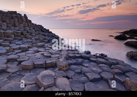 Sechseckigen Basaltsäulen des Giant's Causeway, Bushmills, County Antrim, Ulster, Nordirland, Vereinigtes Königreich Stockfoto