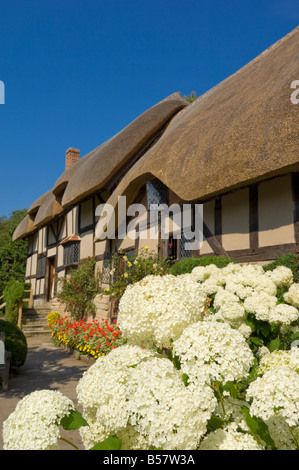 Bauerngarten am Anne Hathaway der strohgedeckten Hütte, Shottery, in der Nähe von Stratford Warwickshire, England, Vereinigtes Königreich Stockfoto