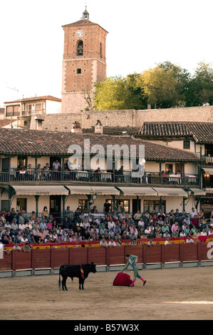 Jungbullen (Novillos) auf dem Hauptplatz des Dorfes als Plaza de Toros, Chinchon, Comunidad de Madrid, Spanien Stockfoto