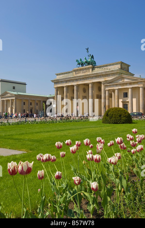 Touristen in Tulpe gefüllt Gärten am Brandenburger Tor mit der Quadriga geflügelte Sieg Statue auf der Spitze, Pariser Platz, Berlin Stockfoto