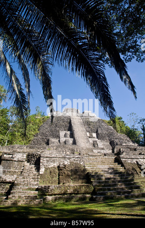 Hoher Tempel (Struktur N10-43), der höchste in der Maya-Stätte, Lamanai, Belize, Mittelamerika Stockfoto