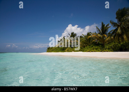 Vilamendhoo Island, Ari Atoll, Malediven, Indischer Ozean, Asien Stockfoto