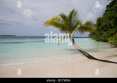 Vilamendhoo Island, Ari Atoll, Malediven, Indischer Ozean, Asien Stockfoto