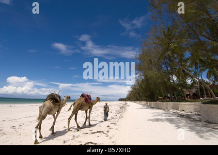 Diani Beach, in der Nähe von Mombasa, Kenia, Ostafrika, Afrika Stockfoto