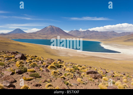 Laguna Miscanti auf eine Höhe, Los Flamencos Nationalreservat, Atacama-Wüste, Region Antofagasta, Chile Stockfoto